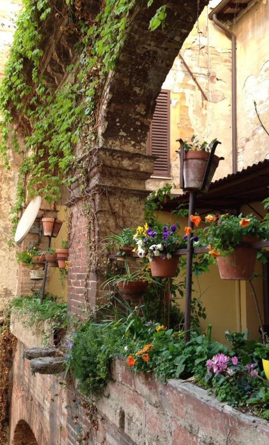Hotel Umbria بيرودجا المظهر الخارجي الصورة